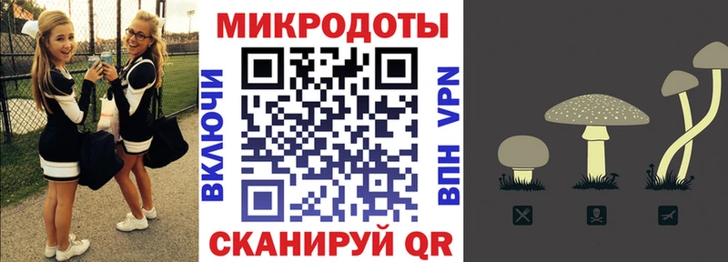 Галлюциногенные грибы Cubensis Нестеров