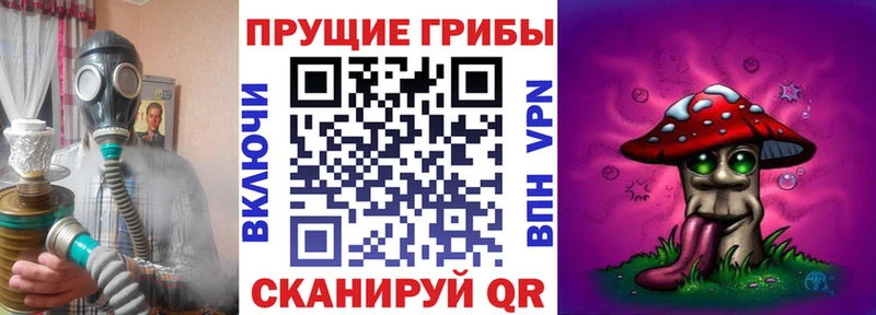 Галлюциногенные грибы Cubensis  Нестеров 